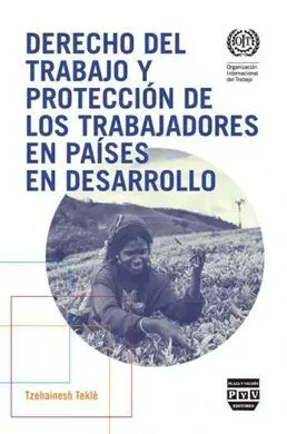 Derecho del Trabajo y Protección de los Trabajadores en Países en Desarrollo
