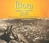 Íllora 2, 1874-1974: Imagen y Memoria