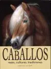 Caballos