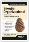 Energía Organizacional