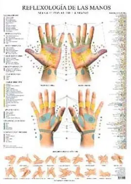 Láminas. Reflexologia de las Manos