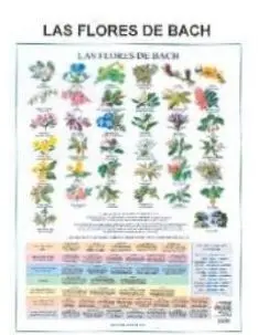 Laminas. Flores de Bach