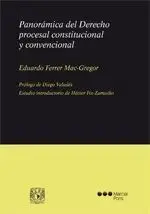 Panoramica del Derecho Procesal Constitucional y Convencional