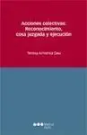 Acciones Colectivas: Reconocimiento, Cosa Juzgada y Ejecución