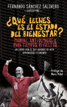 ¿QUE LECHES ES EL ESTADO DEL BIENESTAR?