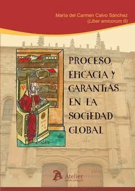 Proceso Eficacia y Garantias en la Sociedad
