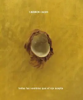 Carmen Calvo. Todas las Sombras que el Ojo Acepta.