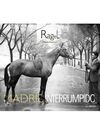 MADRID INTERRUMPIDO