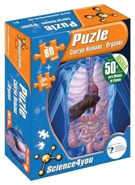 Cuerpo Humano. Anatomía y Órganos