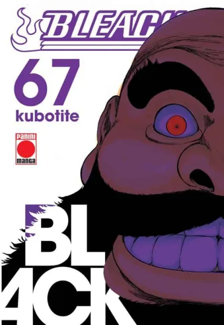 Bleach 67