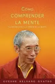 Como Comprender la Mente