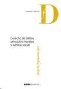 Derecho de Daños, Principios Morales y Justicia Social