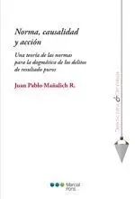 Norma, Causalidad y Accion