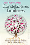 CONSTELACIONES FAMILIARES.(+DVD).(LIBROS SINGULARE