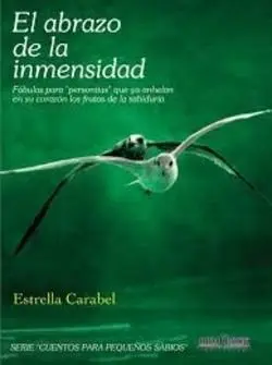 El Abrazo de la Inmensidad