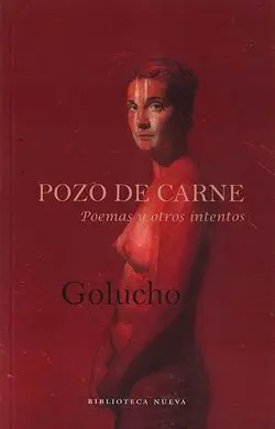 Pozo de Carne