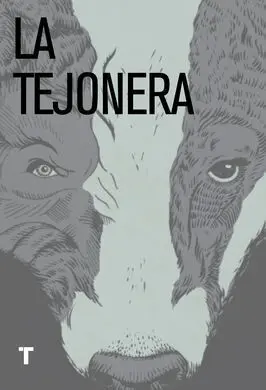 La Tejonera