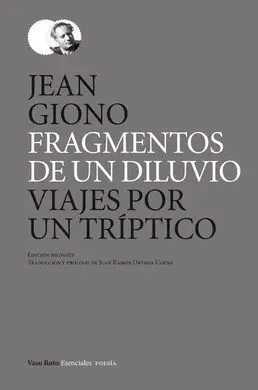 Fragmentos de un Diluvio