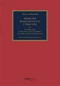 Derecho, Derecho Penal y Proceso. Iii el Proceso Como Situacion Juridica
