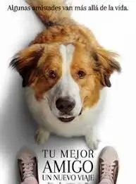 Tu Mejor Amigo