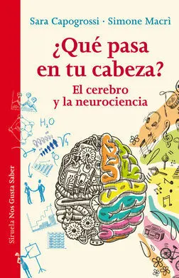 ¿Qué Pasa en tu Cabeza?