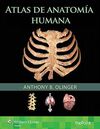 ATLAS DE ANATOMÍA HUMANA