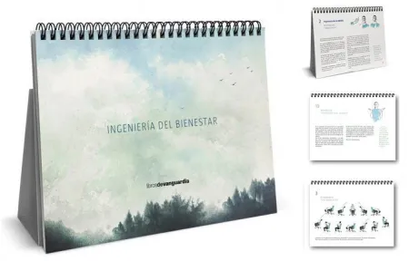 Ingeniería del Bienestar