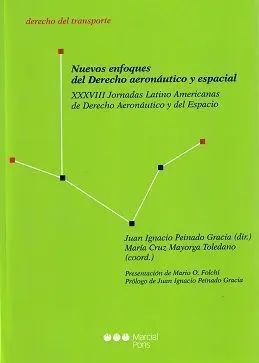 Nuevos Enfoques del Derecho Aereonautico y Espacial