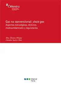 Gas no Convencional: Shale Gas