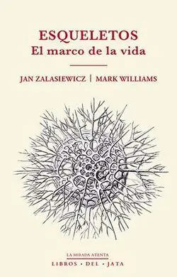 Esqueletos / el Marco de la Vida
