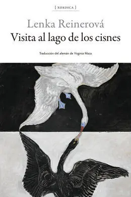 Visita Al Lago de los Cisnes