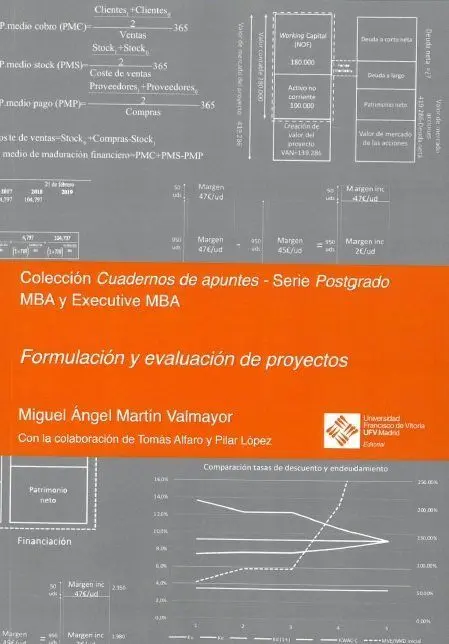 Formulación y Evaluación de Proyectos