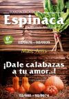 TODO ACERCA DE LA ESPINACA. LA ENSALADA ANTIAGING