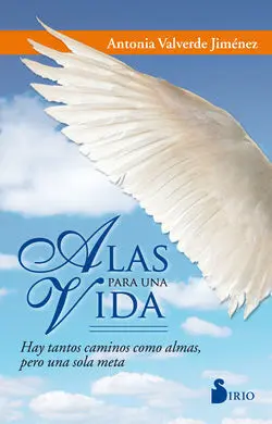 Alas para una Vida