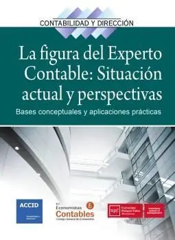 Figura del Experto Contable Situacion Actual y Perspectivas