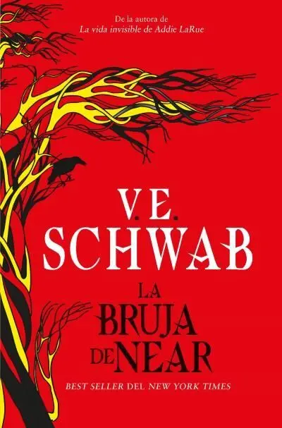 Bruja de Near, la -Books4Pocket