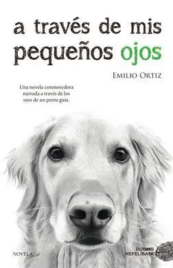 A Través de Mis Pequeños Ojos