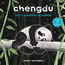 Chengdu. No Hi Ha Manera de Dormir!