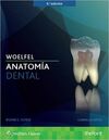 ANATOMIA DENTAL