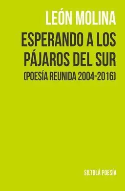 Esperando a los Pajaros del Sur