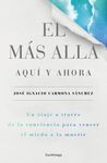 EL MÁS ALLÁ AQUI Y AHORA