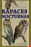 CUAD NATURALEZA, 2 RAPACES NOCTURNAS