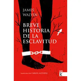 Breve Historia de la Esclavitud