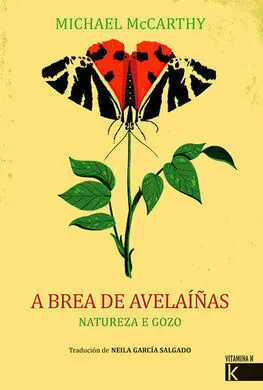 A Brea de Avelaiñas
