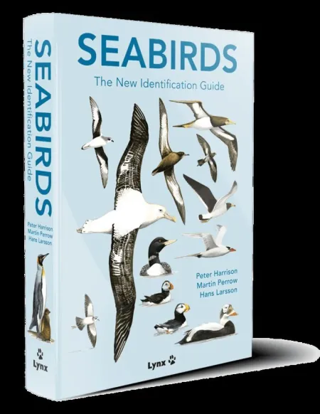Seabirds