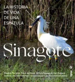 Sinagote / la Historia de Vida de una Espatula