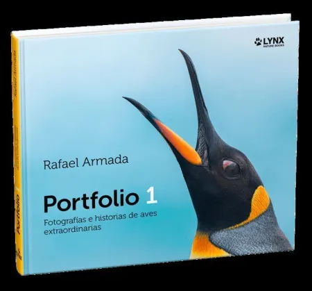 Portfolio 1