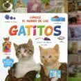 Conoce el Mundo de los Gatitos