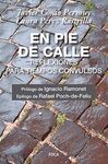 EN PIE DE CALLE: REFLEXIONES PARA TIEMPOS CONVULSOS