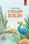 O Paxaro Burlón